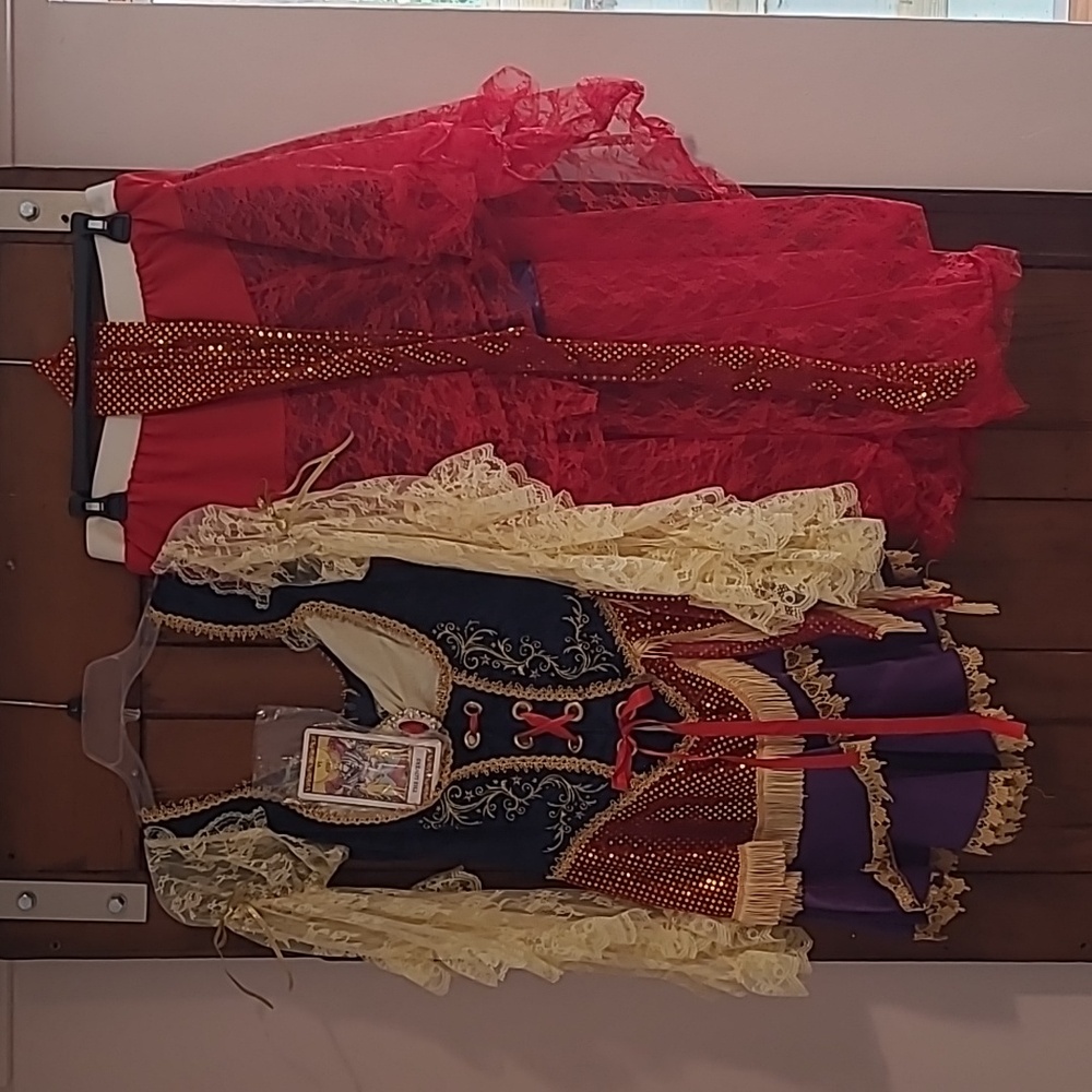 InCharacter Costume Confidential Good Fortune Gypsy - L